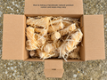 Natural Wood Wool Firelighters - Box of 50